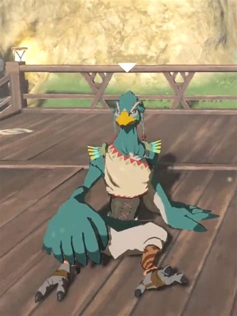 from the ground up rito|The Legend of Zelda: Breath of the Wild Guide: From .